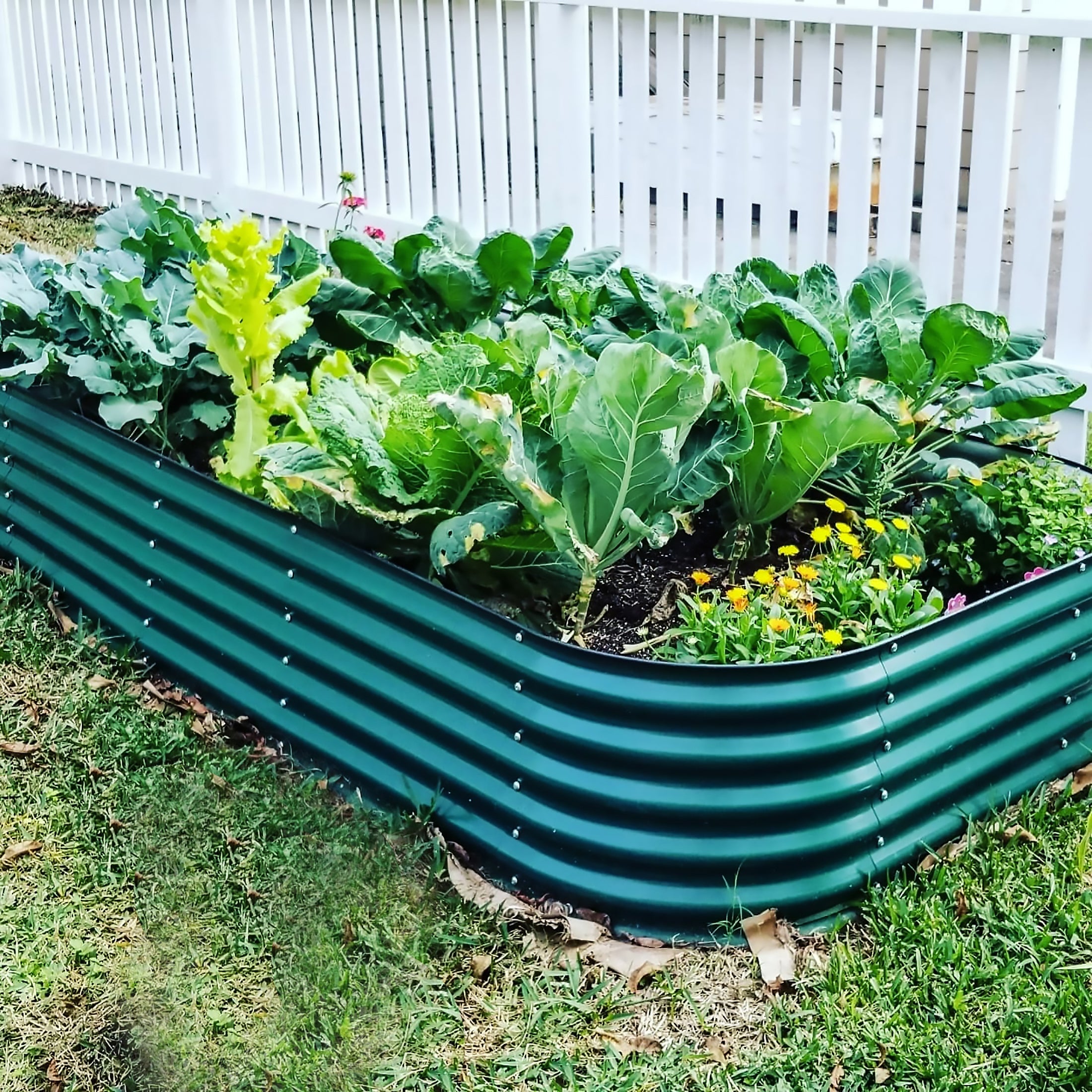 17" Tall 10-In-1 Jumbo Modular Metal Raised Garden Bed Kit