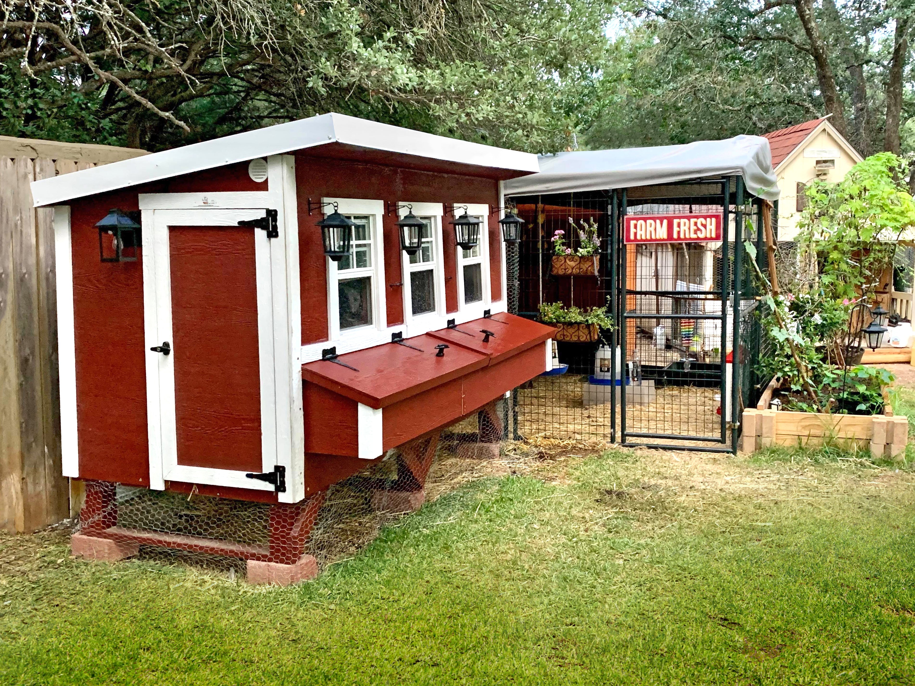 XL Chicken Coop - Up to 20 Chickens