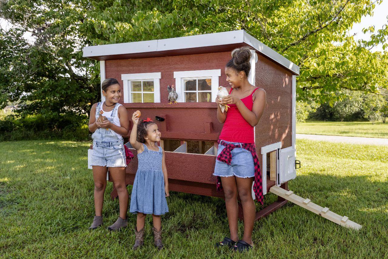Large Chicken Coop - Up to 15 Chickens