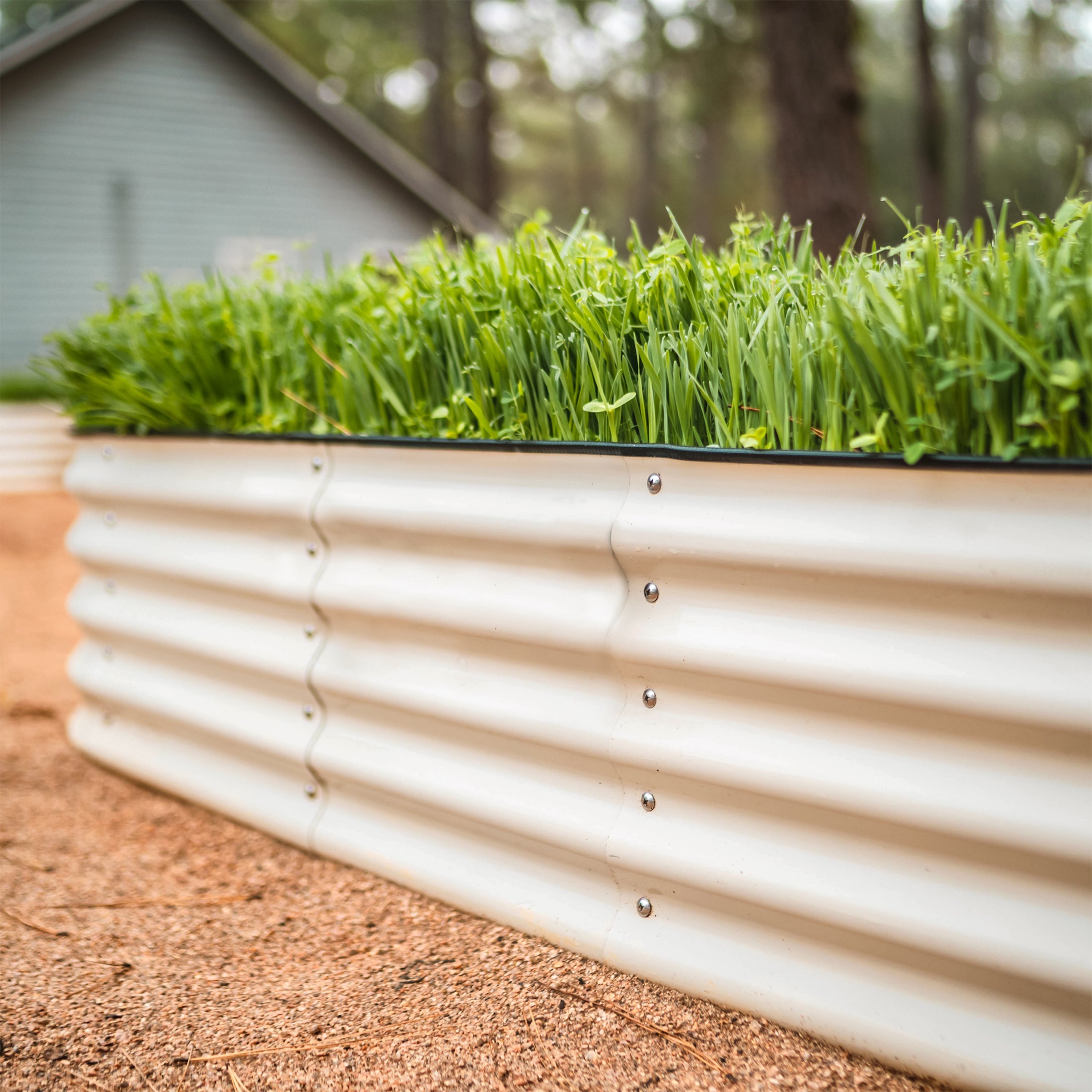17" Tall 4-In-1 Small Modular Metal Raised Garden Bed Kit