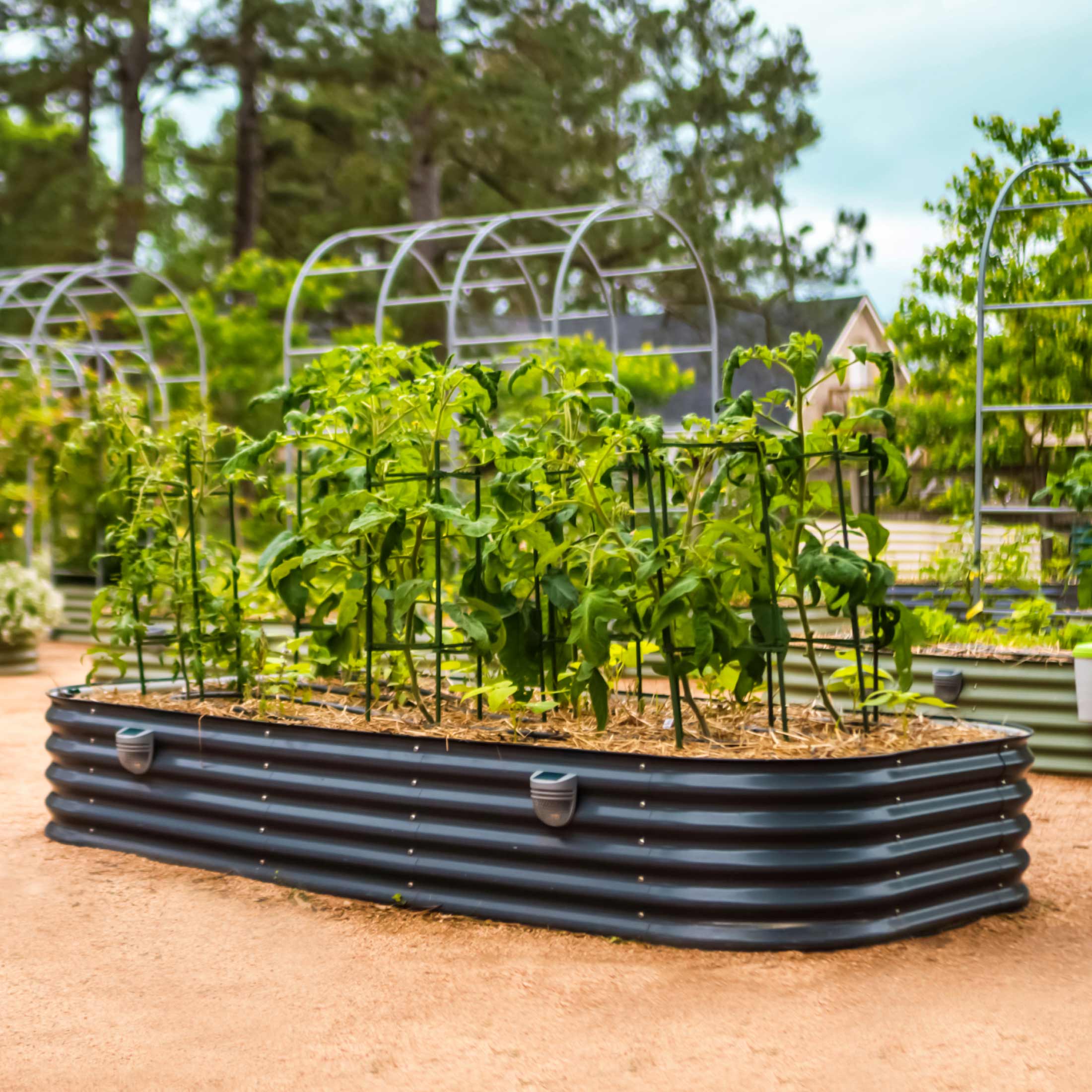17" Tall 10-In-1 Jumbo Modular Metal Raised Garden Bed Kit