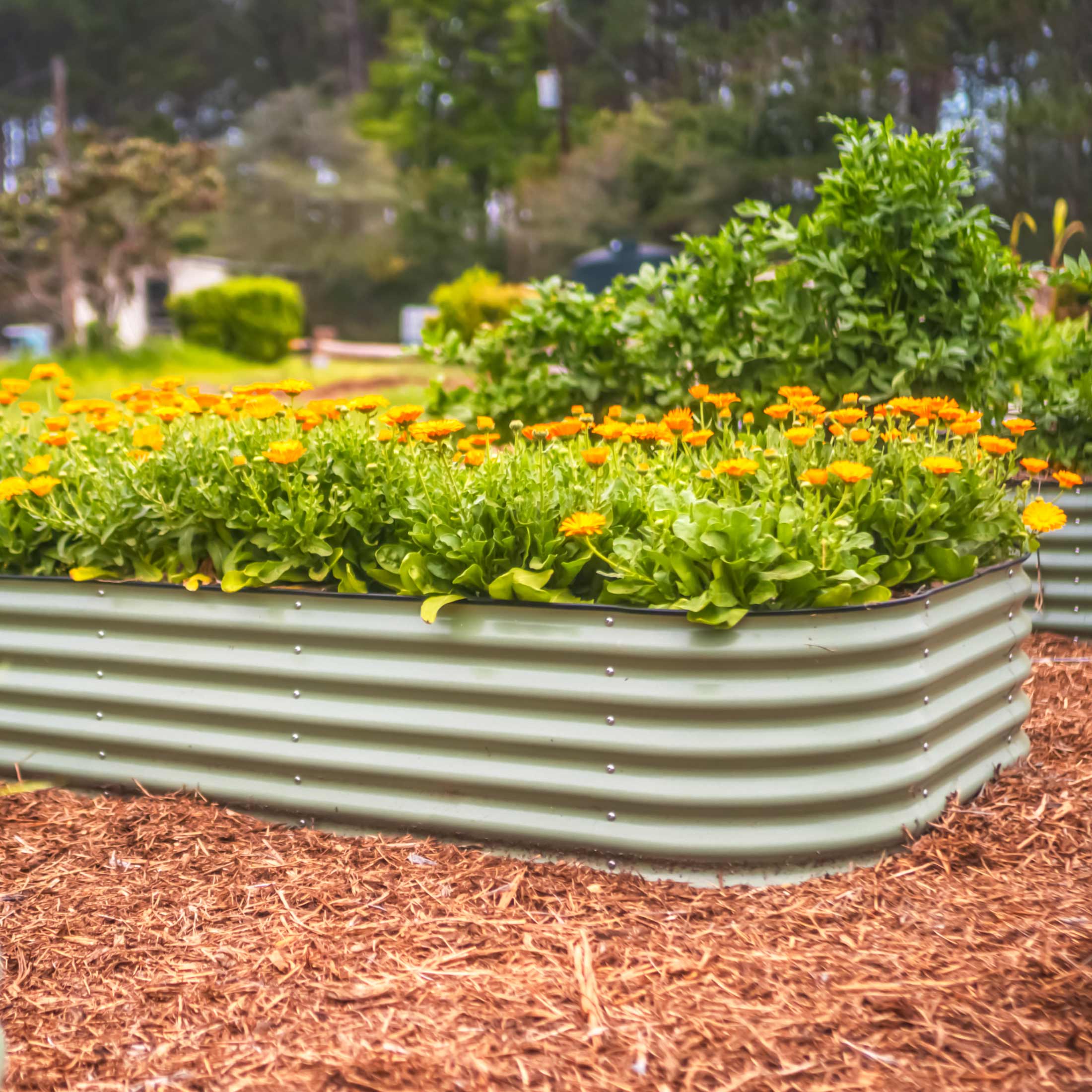 17" Tall 10-In-1 Jumbo Modular Metal Raised Garden Bed Kit