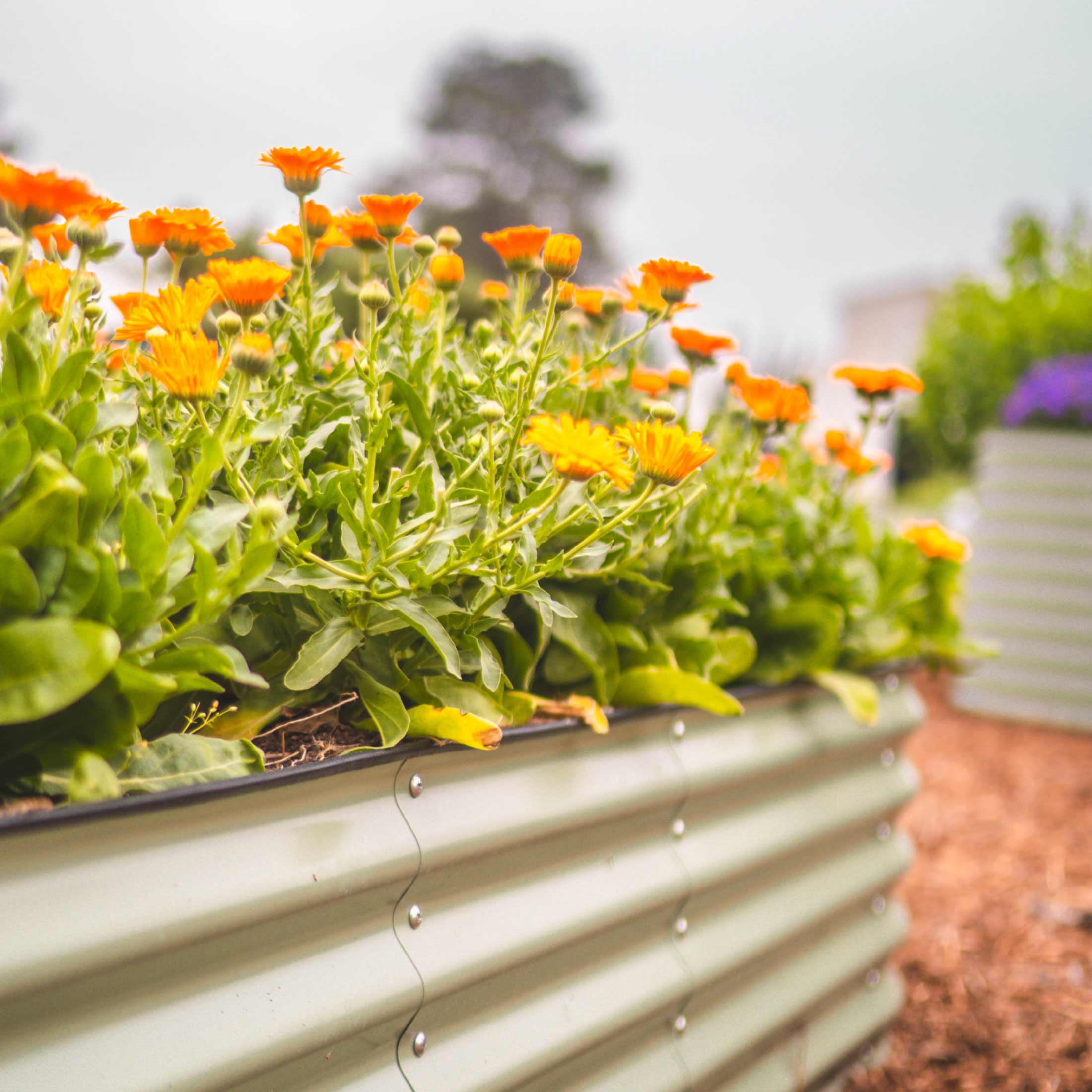 17" Tall 4-In-1 Small Modular Metal Raised Garden Bed Kit