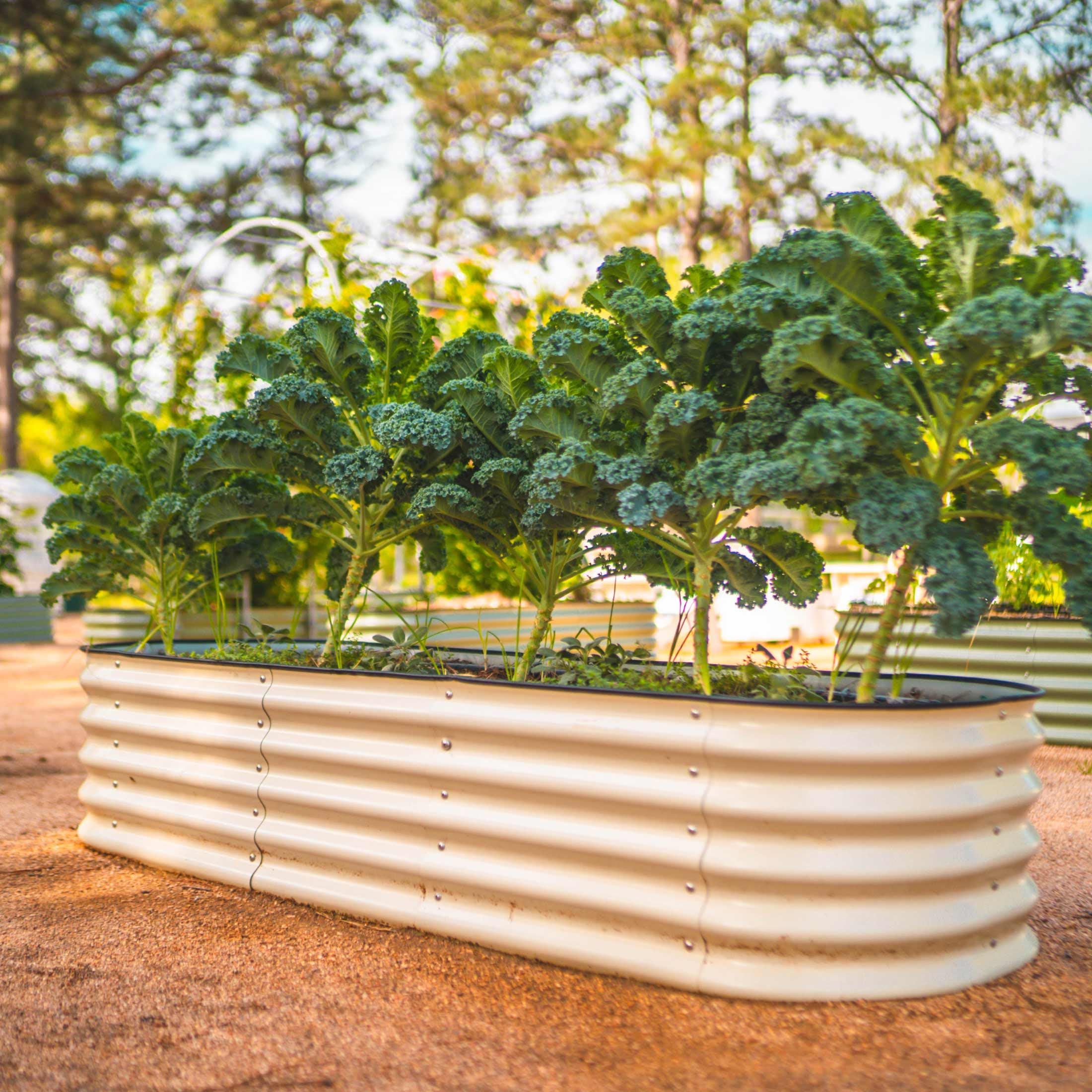 17" Tall 6-In-1 Medium Modular Metal Raised Garden Bed Kit